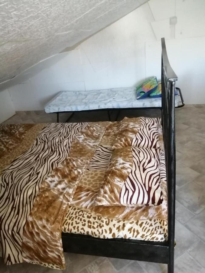 Apartment Filip 瓦比尼科 外观 照片